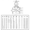 Клапан запорный сталь 15с65нж Ду 100 Ру16 Тмакс=425 оС фл Китай . паллет