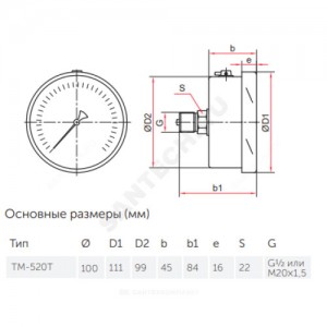 Манометр ТМ-520Т.00 осевой Дк100мм 0-0,6 МПа G1/2" Росма 00000000981