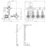 Установка повышения давления COE-2 MHI 205/CE-EB-R Wilo 2785843 (2789091)