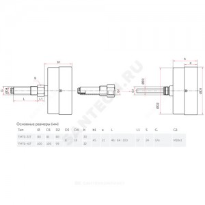 Термоманометр ТМТБ-41Т.1 осевой Дк100 0,6МПа L=46мм G1/2" 120С Росма 00000002309