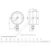 Вакуумметр ТВ-310Р.00 радиальный Дк63мм -0,1-0 МПа G1/4" Росма 00000000315