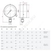 Манометр ТМ-210Р.00 радиальный Дк50мм 0-25 МПа М12х1,5 Росма 00000006691