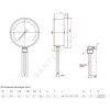 Термометр биметаллический радиальный Дк63 L=64мм G1/2" 160С БТ-32.211 Росма 00000002447