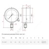 Манометр ТМ-310Р.00 радиальный Дк63мм 0-1,0 МПа G1/4" Росма 00000009573