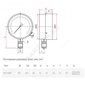 Манометр ТМ-310Р.00 радиальный Дк63мм 0-0,6 МПа G1/4" Росма 00000006770